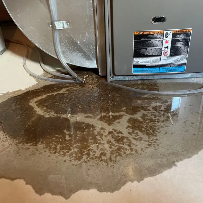 Pipe Burst and Leak Restoration in Rossville, NY
